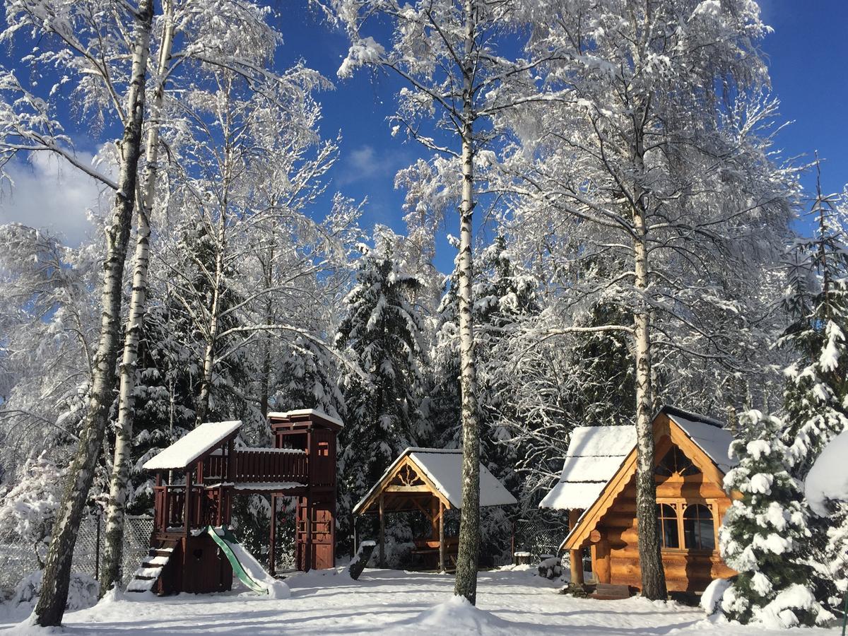 Willa Kwiaty Tatr Zakopane Extérieur photo